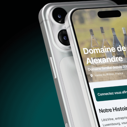 LETZVINE MOCKUP PROJET