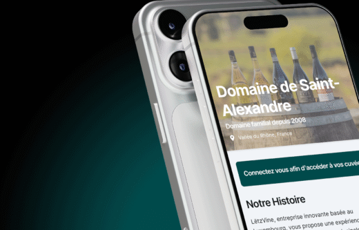 LETZVINE MOCKUP PROJET