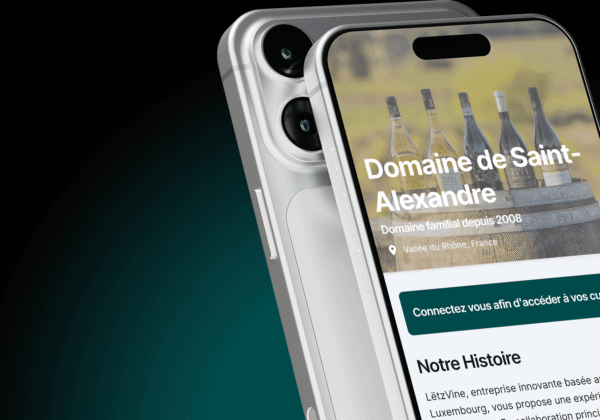 LETZVINE MOCKUP PROJET