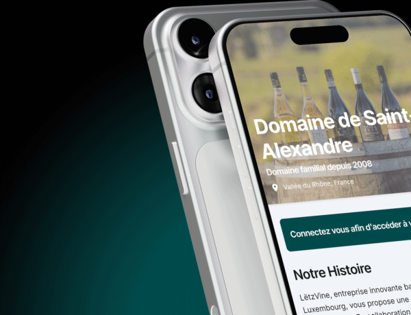 LETZVINE MOCKUP PROJET