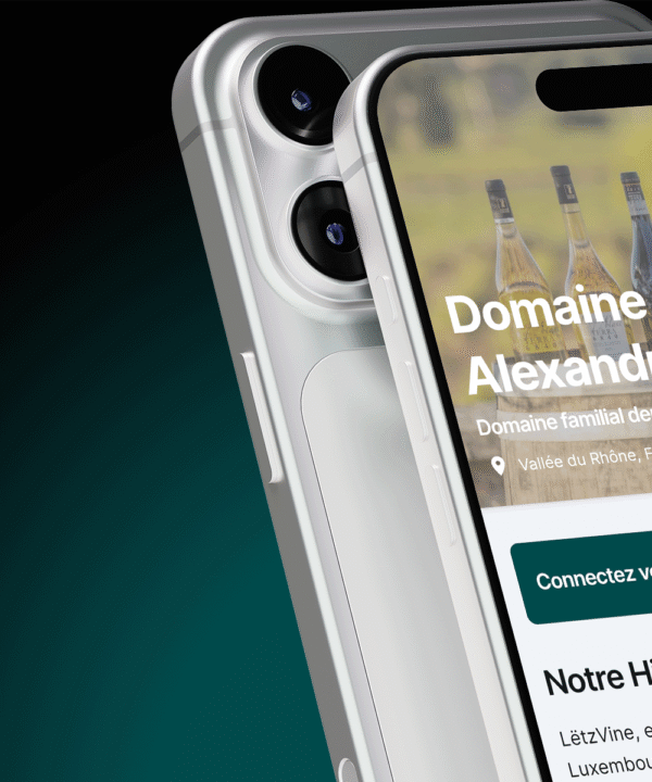 LETZVINE MOCKUP PROJET