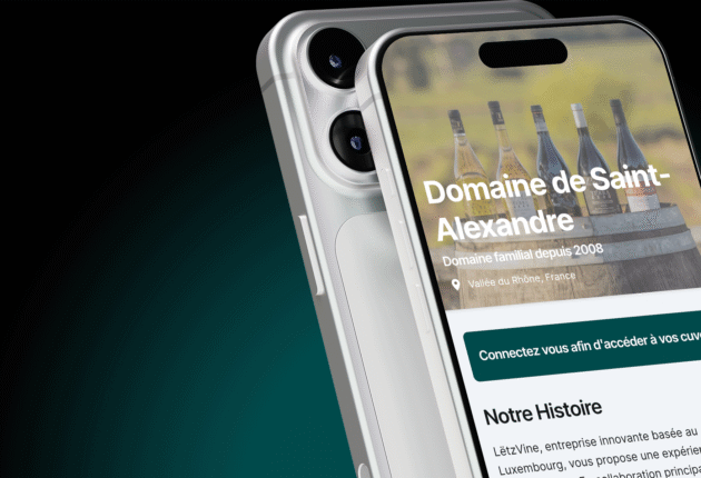 LETZVINE MOCKUP PROJET