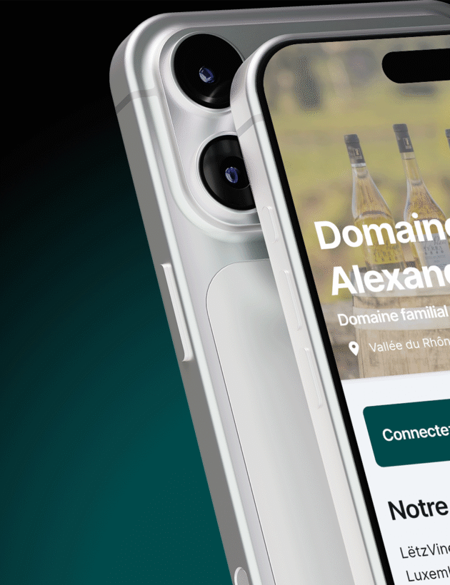 LETZVINE MOCKUP PROJET